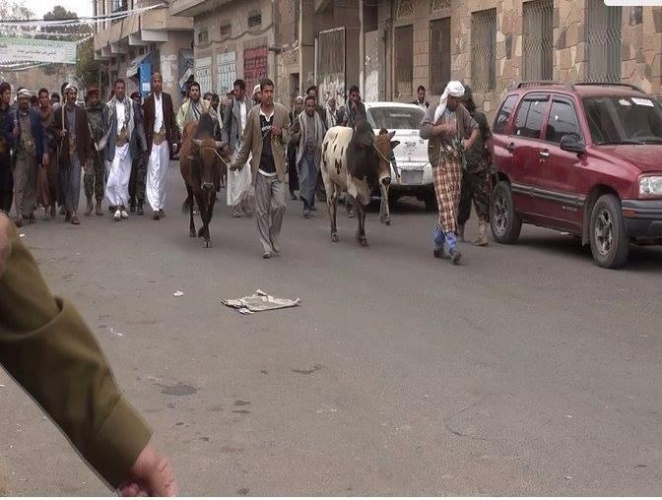 صنعاء :حين تذبح المدنية تحت حوافر الثيران