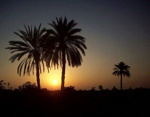 صورة لمنظر غروب خلاب من محافظة لحج .