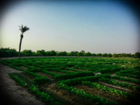 شاهد ابداعات شاب من بلدي " صور" 