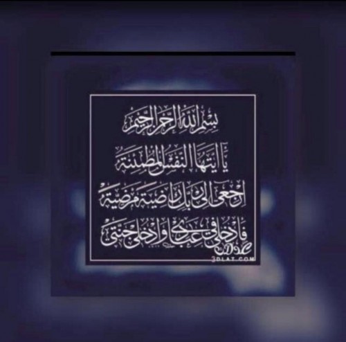 نائب رئيس دائرة إعلام الانتقالي يعزي المصور المقطري بوفاة والده