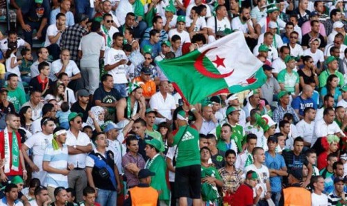 الجزائر أبطال افريقيا