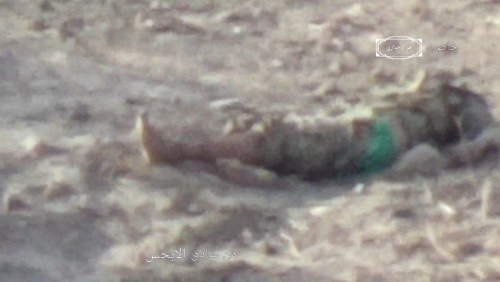 في محاولة منها لانتشال جثث قتلاها.. القوات الجنوبية تكبد مليشيات #الحوثي خسائر فادحة في جبهات الحشاء