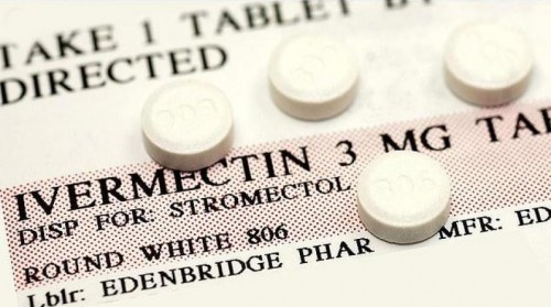 دواء قمل الرأس قد يقضي على كورونا