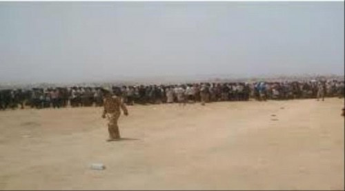 أبين.. مشايخ دثينة توجه دعوة لقوات الشرعية في العرقوب