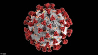 علماء أميركيون يكتشفون طفرة "مقلقة" في فيروس كورونا