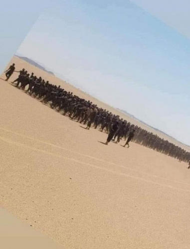 القوات العسكرية التي أنشأها الاخوان في شبوة لا تعترف بالتحالف