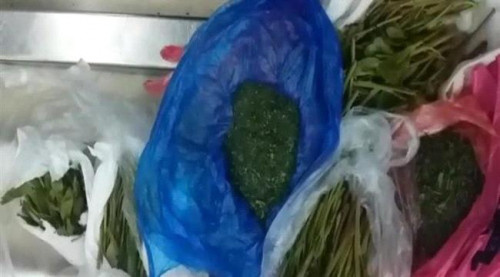 مطار القاهرة يحبط محاولة تهريب كمية من “القات”
