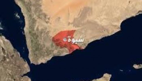 مقتل شيخ قبلي بشبوة وإصابة آخرين في اشتباكات قبلية