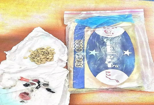 حضرموت.. إحباط محاولة تهريب كيلو حشيش مخدر إلى المكلا