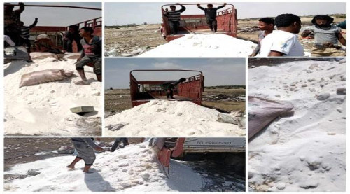 إتلاف سكر مستورد غير صالح للاستهلاك الآدمي بميناء عدن