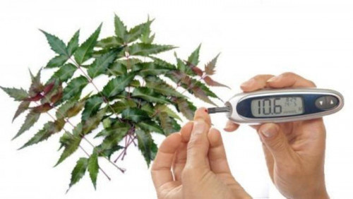 طريقة بسيطة لتخفيض نسبة السكر في الدم.. تعرف عليها