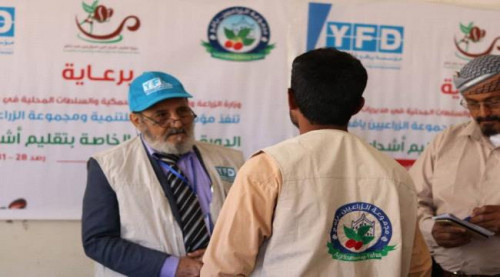 بدعم مؤسسة يافع للتنمية.. تدشين دورة تدريبية لمزارعي شجرة البُن في مديرية رصد