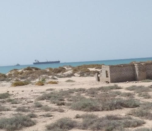 سلطة شبوة الاخوانية تبيع شحنة نفط بـ 140 مليون دولار