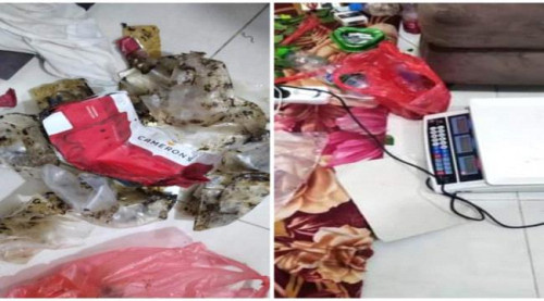 حضرموت.. الأجهزة الأمنية تضبط متهماً بترويج الحشيش بالمكلا