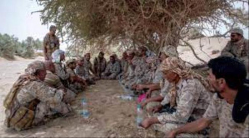 محلل عسكري واستراتيجي يكشف أسباب عدم تقدم ما يسمى بـ"الجيش الوطني" في مناطق الحوثي