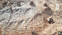 اكتشاف آثار أقدام ديناصورات عمرها 70 مليون سنة بصحراء مصر الشرقية