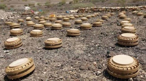 مسام تُتلف 910 ألغام حوثية في عسيلان شبوة