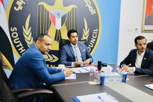 الغيثي يبحث في اتصال مرئي مع مسؤول الملف اليمني في السفارة المصرية اتفاق الرياض والتسوية السياسية الشاملة
