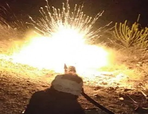 القوات المسلحة الجنوبية تفشل هجوماً لمليشيات الحوثي شمالي الضالع