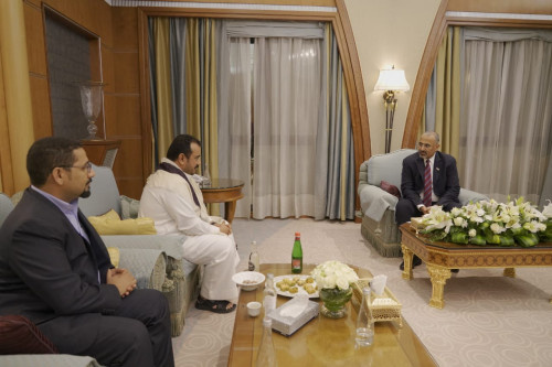 الرئيس الزُبيدي يستقبل وكيل وزارة الخارجية السفير أوسان العود