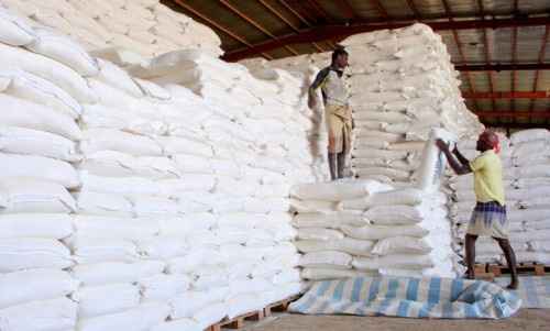 تقرير حقوقي يتهم مليشيا الحوثي بحرمان 10.9 مليون شخص من الوصول للغذاء