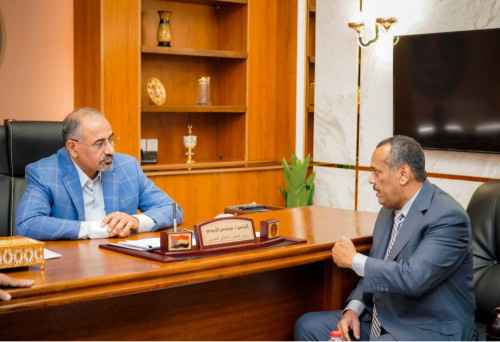 الرئيس الزُبيدي يشدد على أهمية الارتقاء بعمل الهيئات القضائية