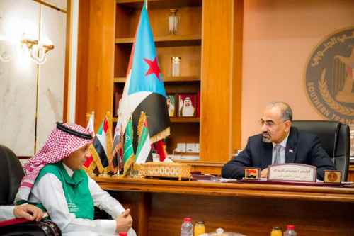 الرئيس الزُبيدي يشيد بالدعم السعودي اللامحدود لبلادنا في جميع القطاعات