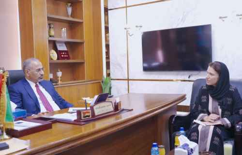 الرئيس الزُبيدي يلتقي المدير الإقليمي لمنظمة "فريدريش إيبرت" الألمانية