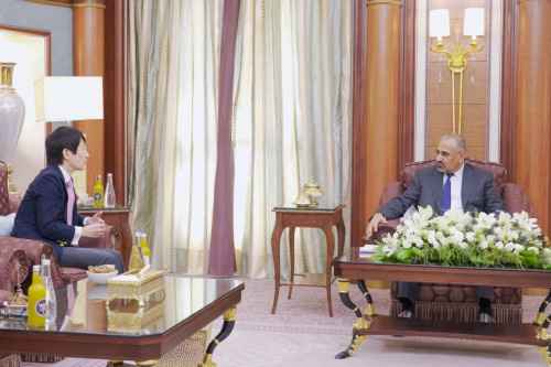 الرئيس الزُبيدي يناقش مع القائم بأعمال سفير اليابان جهود إحلال السلام وآفاق التعاون المشترك