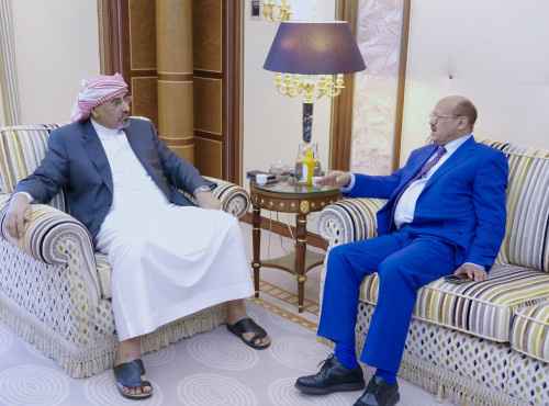 الرئيس الزُبيدي يشدد على سرعة إنجاز الإصلاحات المالية وتفعيل دور البنك المركزي