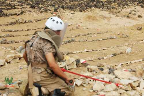 قوات دفاع شبوة تُفكّك حقل ألغام حوثي في مديرية عسيلان