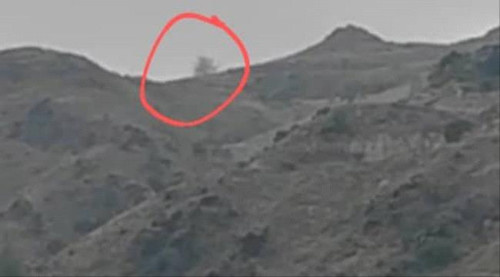 المقاومة الجنوبية تستهدف مواقع المليشيا الحوثية الارهابية بجبهة ثره