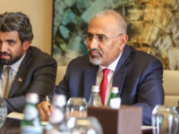 البيض يكشف كواليس لقاء الرئيس الزُبيدي بالمبعوث الأمريكي لليمن