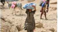 صندوق أممي: نساء وفتيات اليمن يتحملن العبء الأكبر من الأزمة
