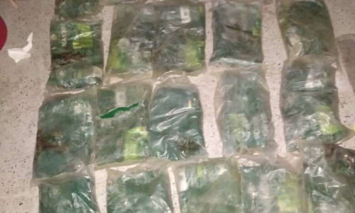 أبين.. إحباط محاولة تهريب كميه كبيرة من المخدرات بمودية