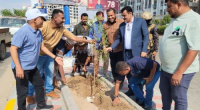 الداؤودي يدشن تشجير الجزيرة الوسطية بالطريق البحري