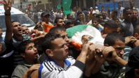 ارتفاع حصيلة القتلى في قطاع غزة إلى 29782 منذ اندلاع الحرب