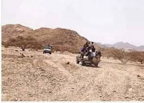 الأجهزة الأمنية تلقي القبض على عناصر خلية زارة الإرهابية في أبين