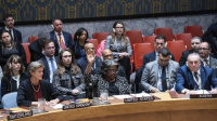 مجلس الأمن يتبنى مشروع القرار الأمريكي بشأن وقف إطلاق النار في غزة وتبادل الأسرى