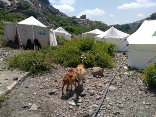 مليشيا الحوثي الإرهابية تستهدف الأعيان المدنية شمال غرب المسيمير بلحج 