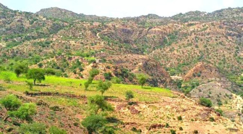 قصف مدفعي متبادل بين القوات الجنوبية والحوثيين بالمسيمير