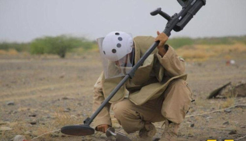 اكتشاف حقل ألغام حوثي مخيف في شبوة