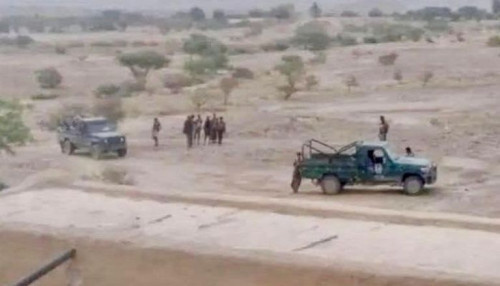 الحوثي ينكل بقبائل الجوف.. «عيب أسود» وجرائم «مركبة»