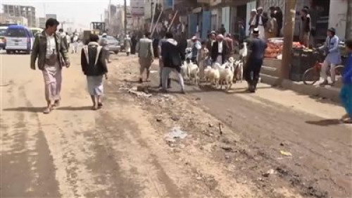 مليشيا الحوثي تفرض جبايات مالية على أضاحي العيد في الحديدة اليمنية 