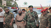 الأمن الجنوبي.. بين الاستهداف والصمود