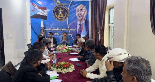 فريق الرقابة والتوجيه الرئاسي يطلع على خطط وأنشطة الهيئة التنفيذية لانتقالي الضالع