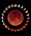 مواعيد مراحل الخسوف الكلي مساء يومنا هذا الأحد  7 سبتمبر..