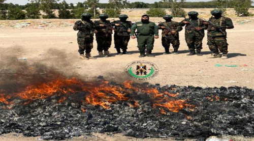 الحزام الأمني يتلف كمية كبيرة من الحبوب المخدرة في العاصمة عدن