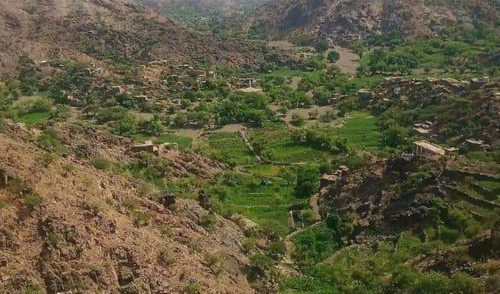 قصف حوثي يستهدف منازل المواطنين في منطقة عهامة بمحافظة لحج 